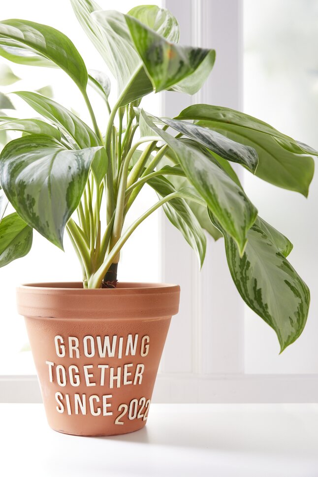 Childhome Schommelwieg Rattan