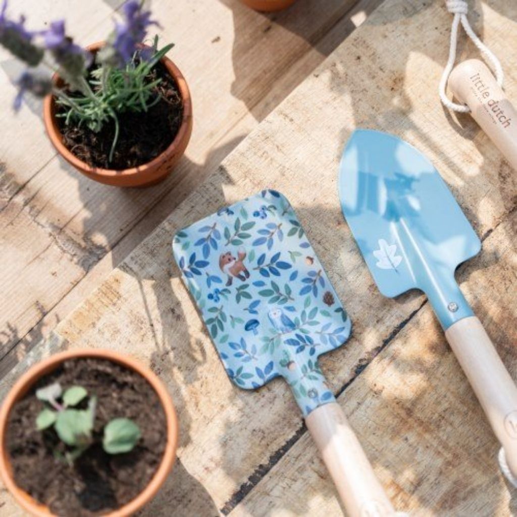 Little Dutch Pot de fleur Myosotis