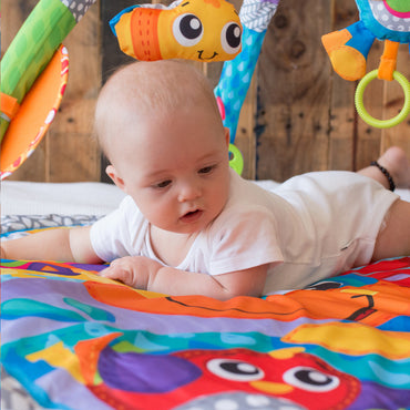 Playgro Tapis de jeu Clip Clop Activity Gym with Music