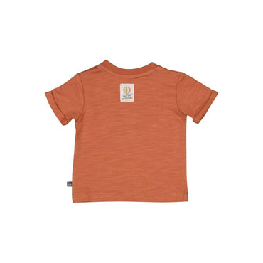 Feetje T-shirt - Mini Adventurer m 56 Brique Jongens