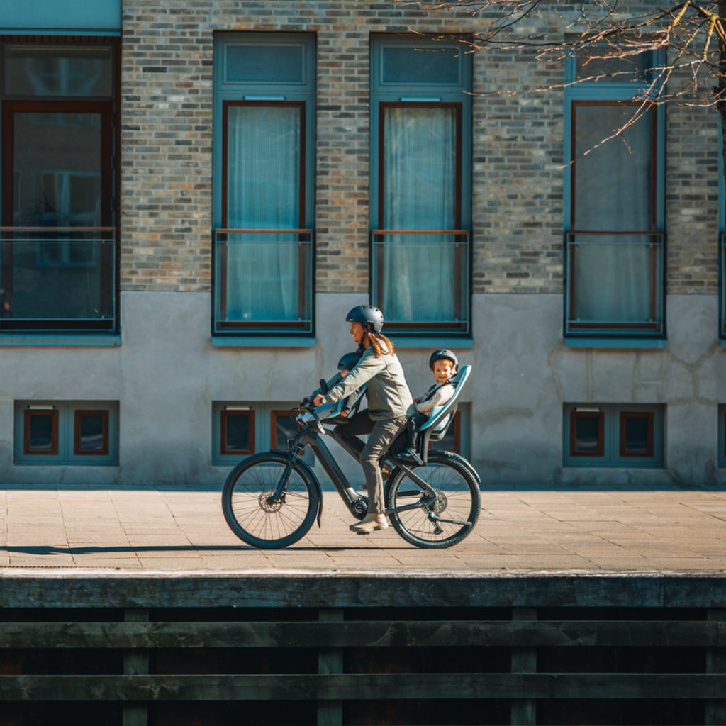 Thule Fietstoel Yepp 2 Maxi Frame mount Alaska