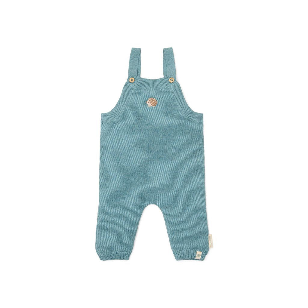 Little Dutch Gebreide jumpsuit Forest Friends Blue