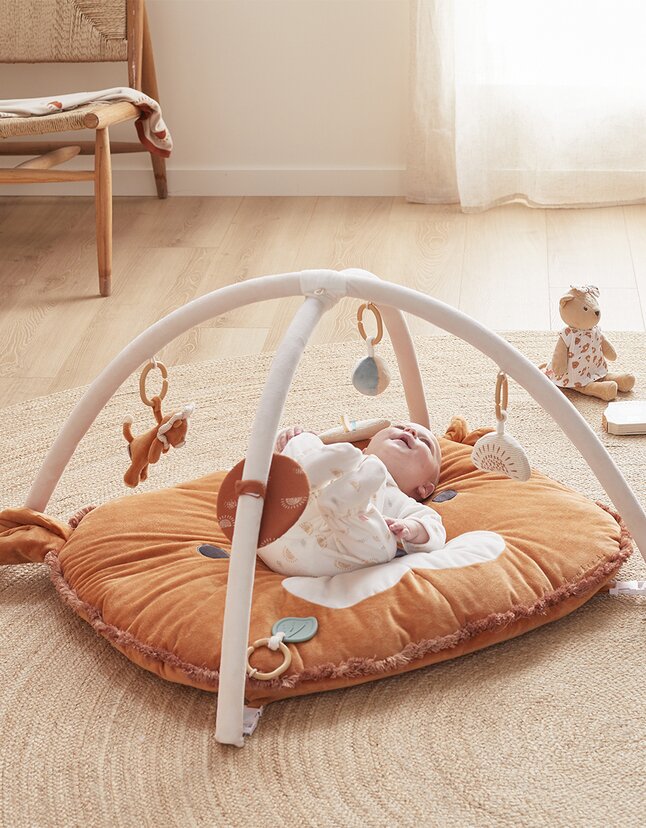 Noukie's Couverture de jeu Babou