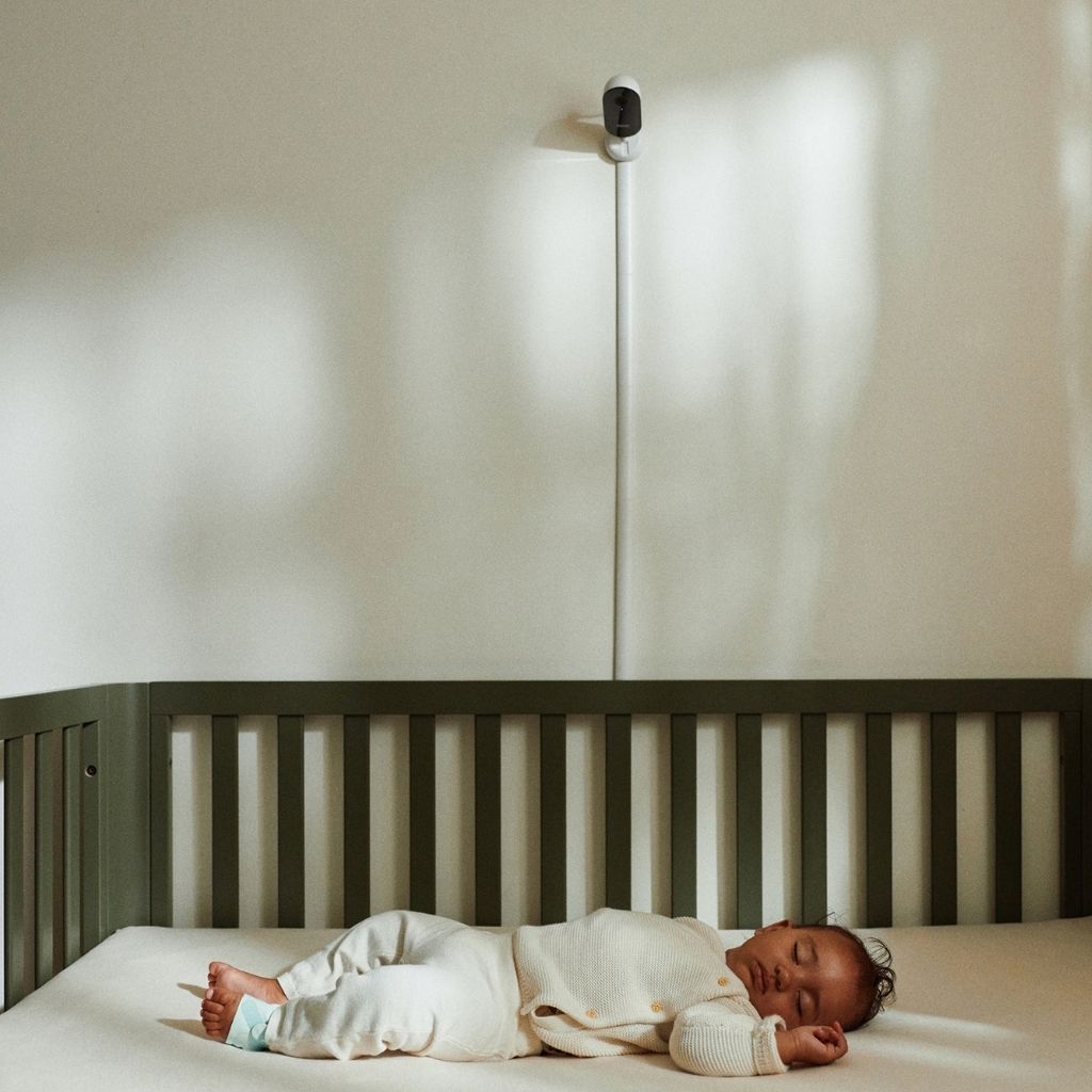 Owlet Caméra Dream Sight Multicolore