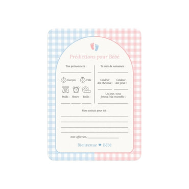 Studio Miron Invulkaarten Baby Voorspellingen Gingham Roze/Blauw FR – 10 stuks