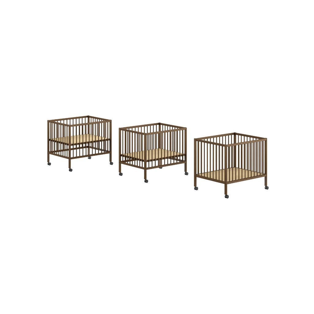 Jaxx Parc Dino Walnut