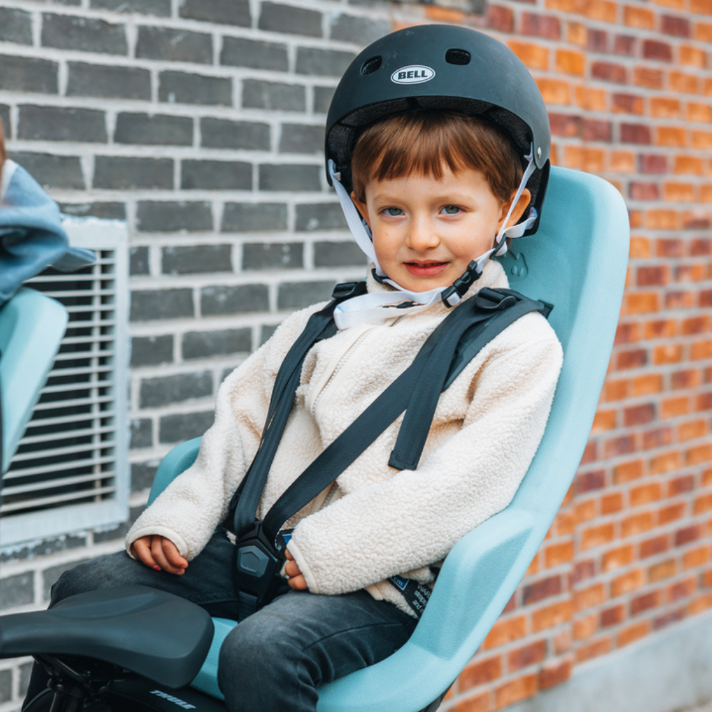 Thule Fietstoel Yepp 2 Maxi Frame mount Alaska