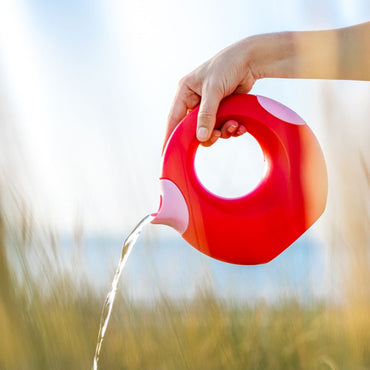 Cana gieter Large Cherry