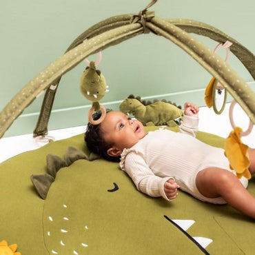 Trixie Knuffel Animals Mr. Dino 26 cm