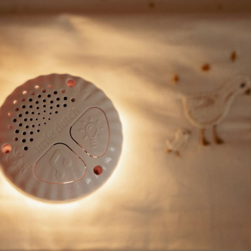 Little Dutch Knuffel met licht en geluid Little Goose