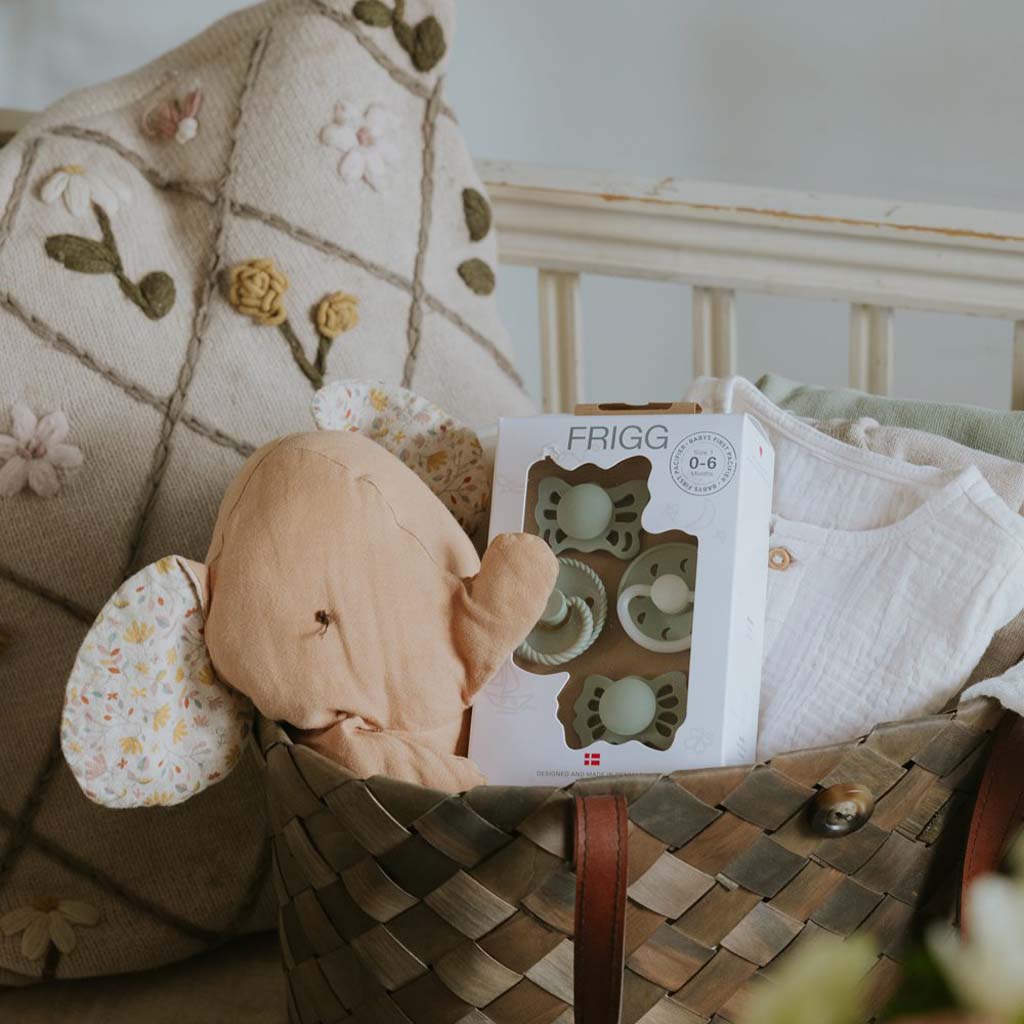 FRIGG Fopspeen 0 - 6 maanden Baby’s First pacifier - Moonlight Sailing Sage - 4 stuks