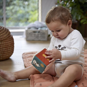 Dreambee Cube d'activités Flo - 4 pièces