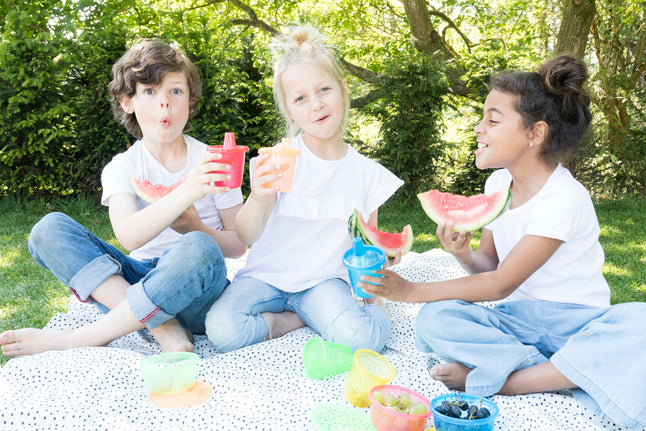 Nûby Pot de conservation 300 ml - 6 pièces