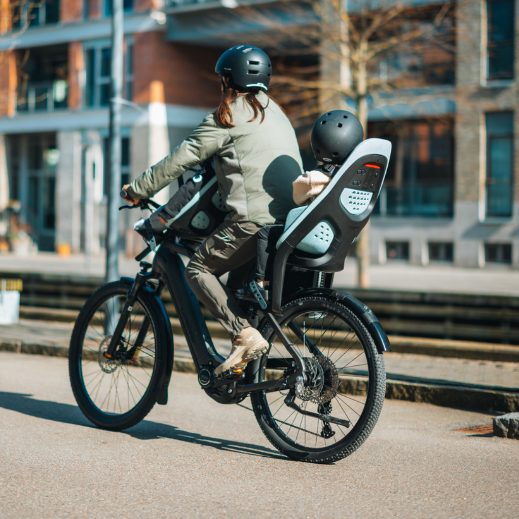 Thule Fietstoel Yepp 2 Maxi Frame mount Alaska