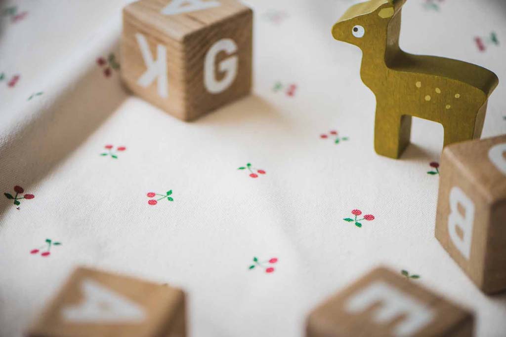 Play&Go Speeldeken /Opbergtas Noomad Cherry cherry