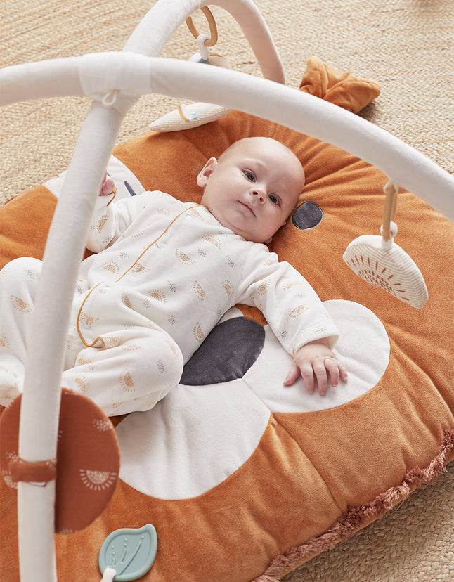 Noukie's Couverture de jeu Babou