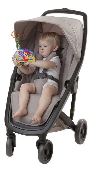 Playgro Knuffelboekje A Day at the Farm Teether Book