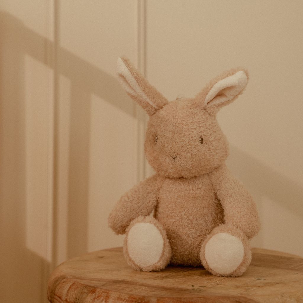 Little Dutch Knuffel met licht en geluid Baby Bunny