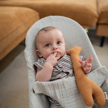 Hoes voor relax, BabyBjörn, Les rêves d'Anaïs, bliss grey