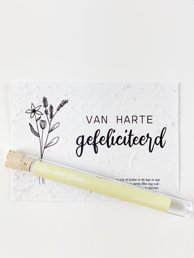 Minimou Wishes in a Tube - Van harte gefeliciteerd