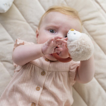 Nattou Anneau de dentition Mila, Lana & Zoe - Hérisson Zoe