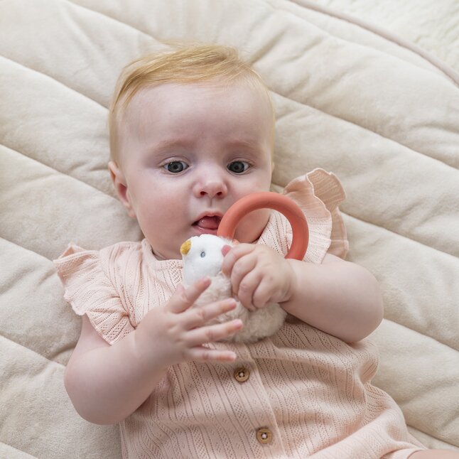 Nattou Anneau de dentition Mila, Lana & Zoe - Hérisson Zoe