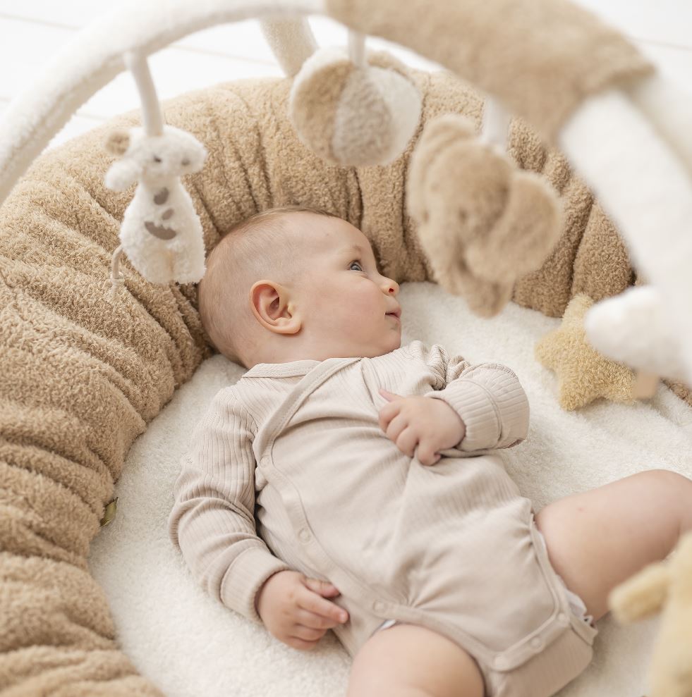 Nattou Speeltapijt met bogen TEDDY