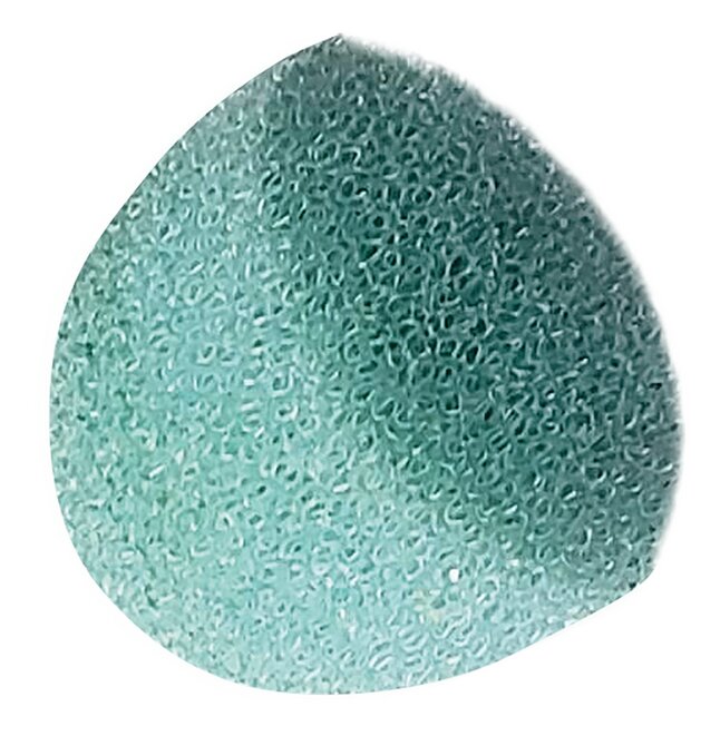 Braun Wegwerpcapsules voor neusreiniger 1 - 20 stuks