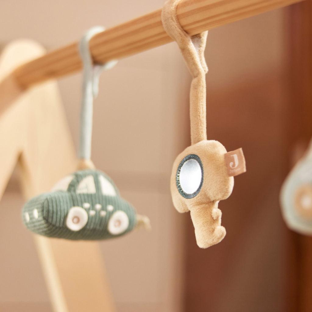 Babygym Speeltjes On The Go