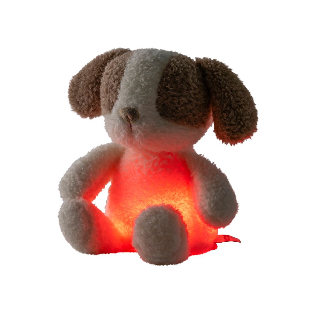 Nattou Knuffel nachtlamp Teddy/Nightlights Mini Sleepy hond vanille