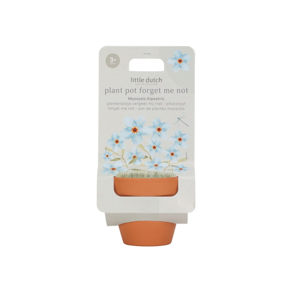 Little Dutch Plantenpotje vergeet-mij-nietjes