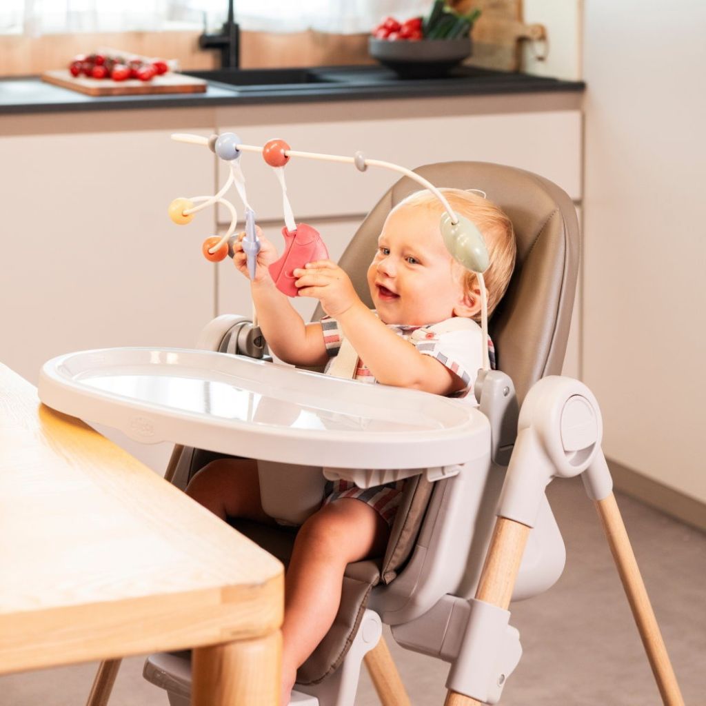 Chicco Speelboog voor eetstoel Polly Armonia