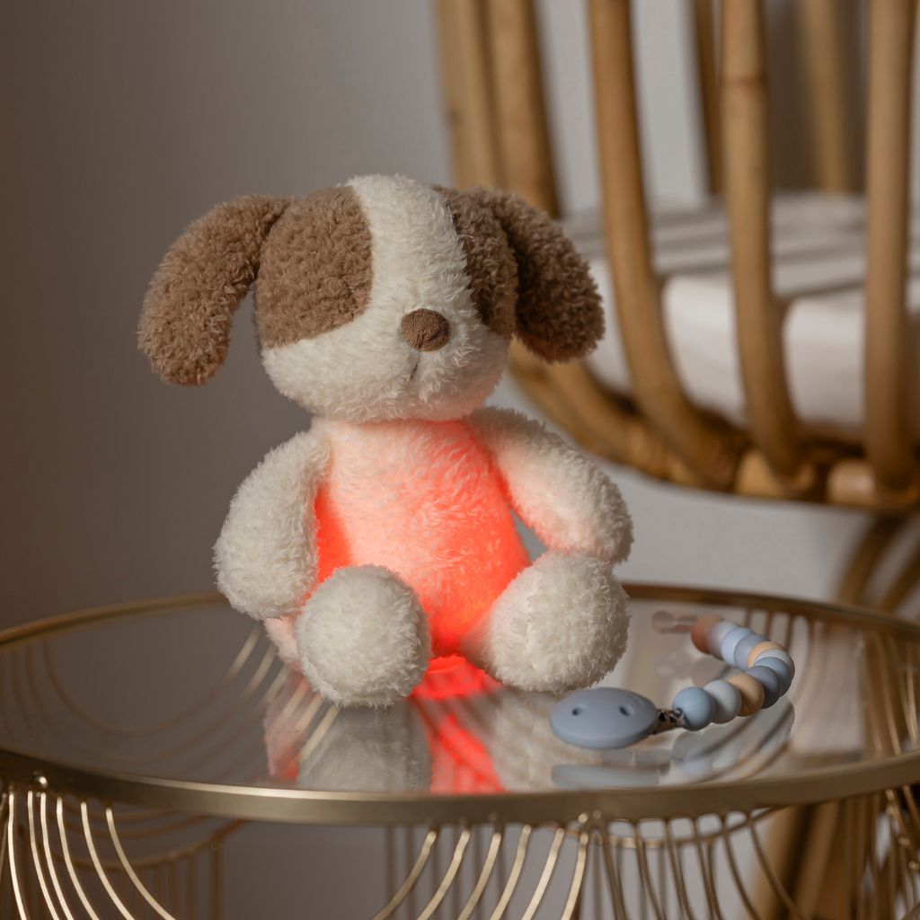 Nattou Knuffel nachtlamp Teddy/Nightlights Mini Sleepy hond vanille
