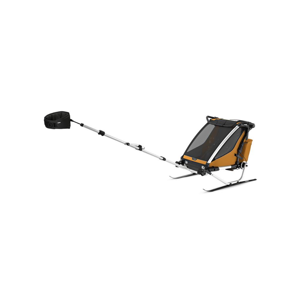 Thule Remorque de vélo Chariot Sport 2 Double Natural Gold