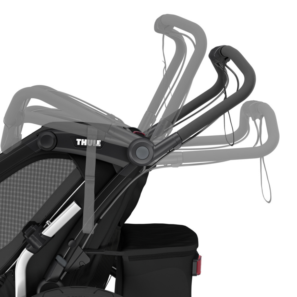 Thule Remorque de vélo Chariot Sport 2 Double Natural Gold