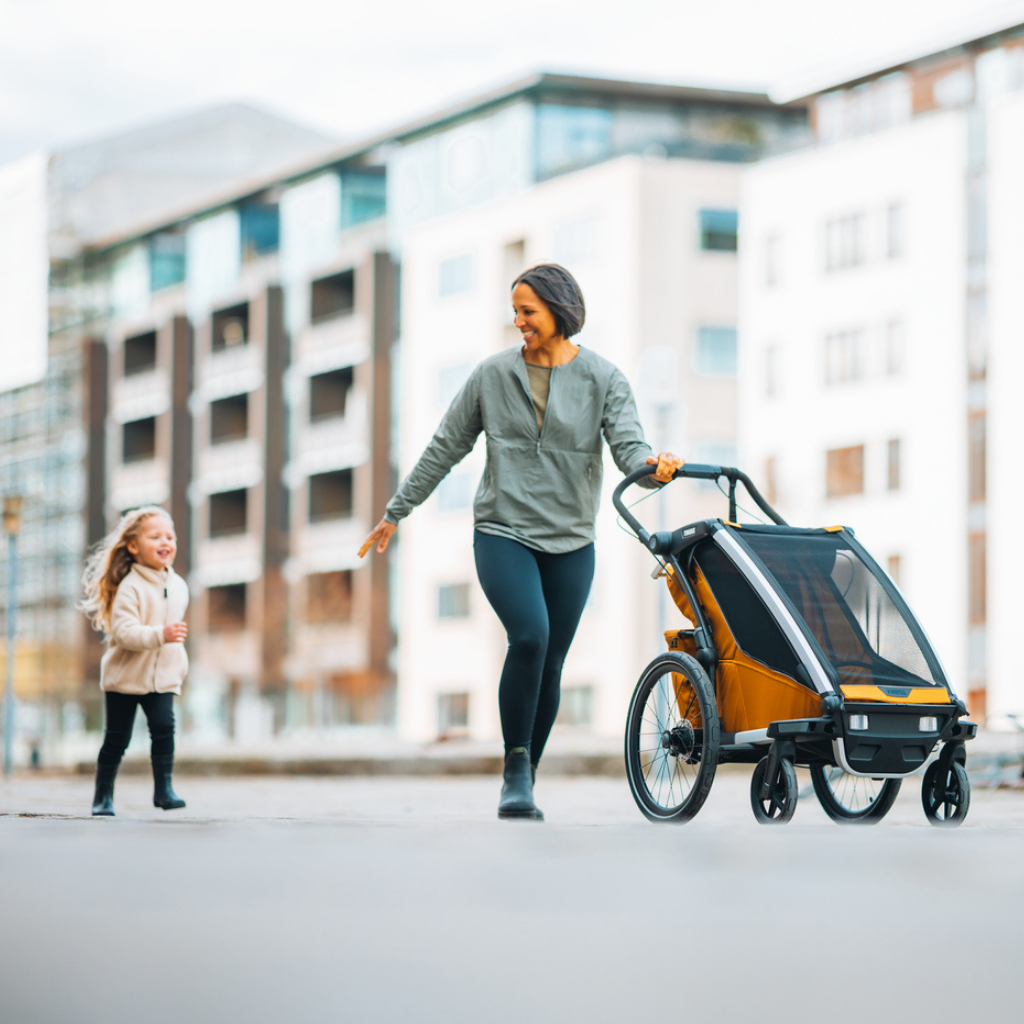 Thule Remorque de vélo Chariot Sport 1 Simple Natural Gold