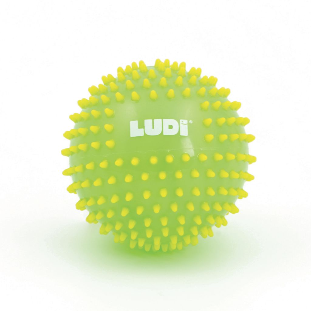 Ludi Gekleurde sensorische bal 15 cm