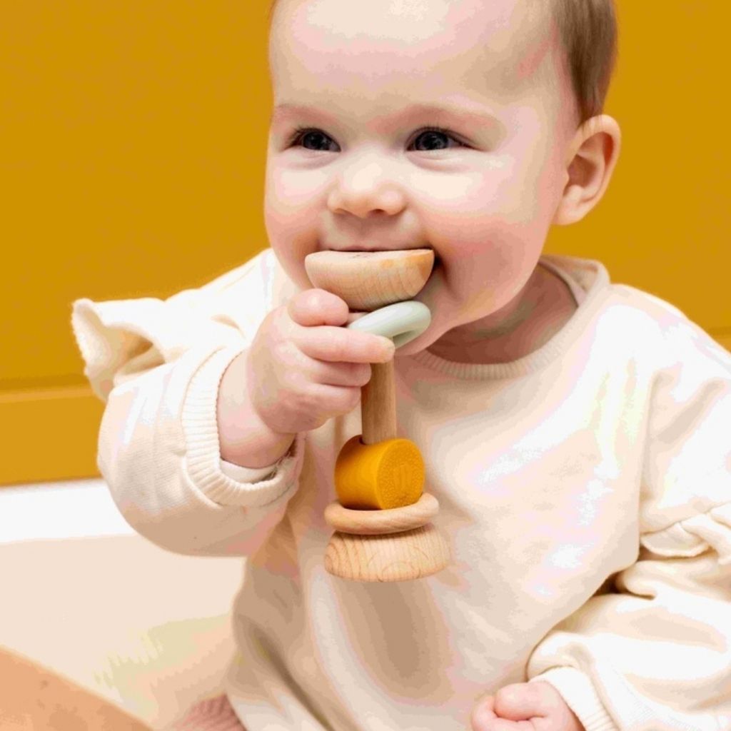 Trixie Hochet en bois et en silicone Mr. Lion