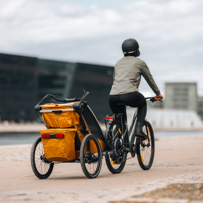 Thule Remorque de vélo Chariot Sport 1 Simple Natural Gold