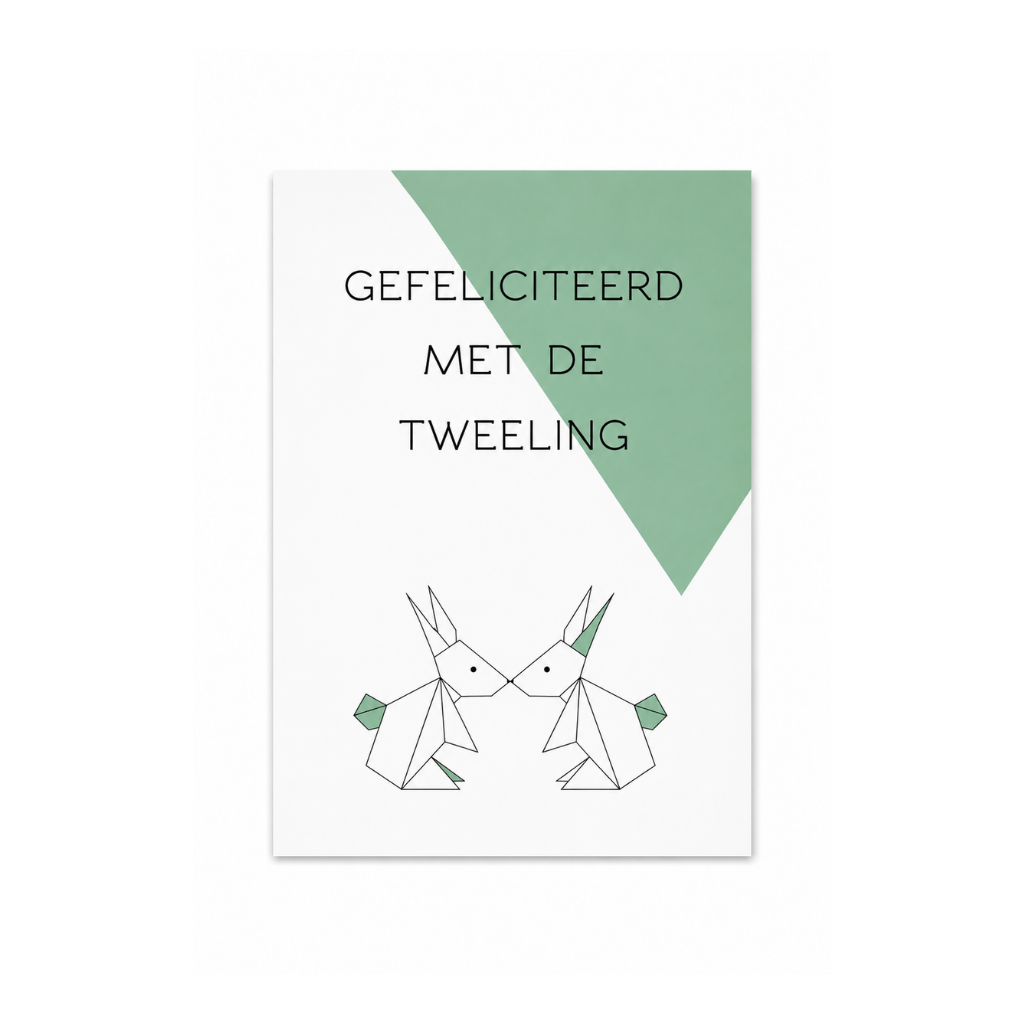 Wenskaart - Gefeliciteerd met de tweeling Origami - 16, NL