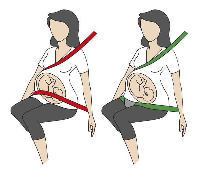 BeSafe Guide-ceinture