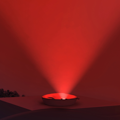 Zazu Veilleuse Emmy the elephant