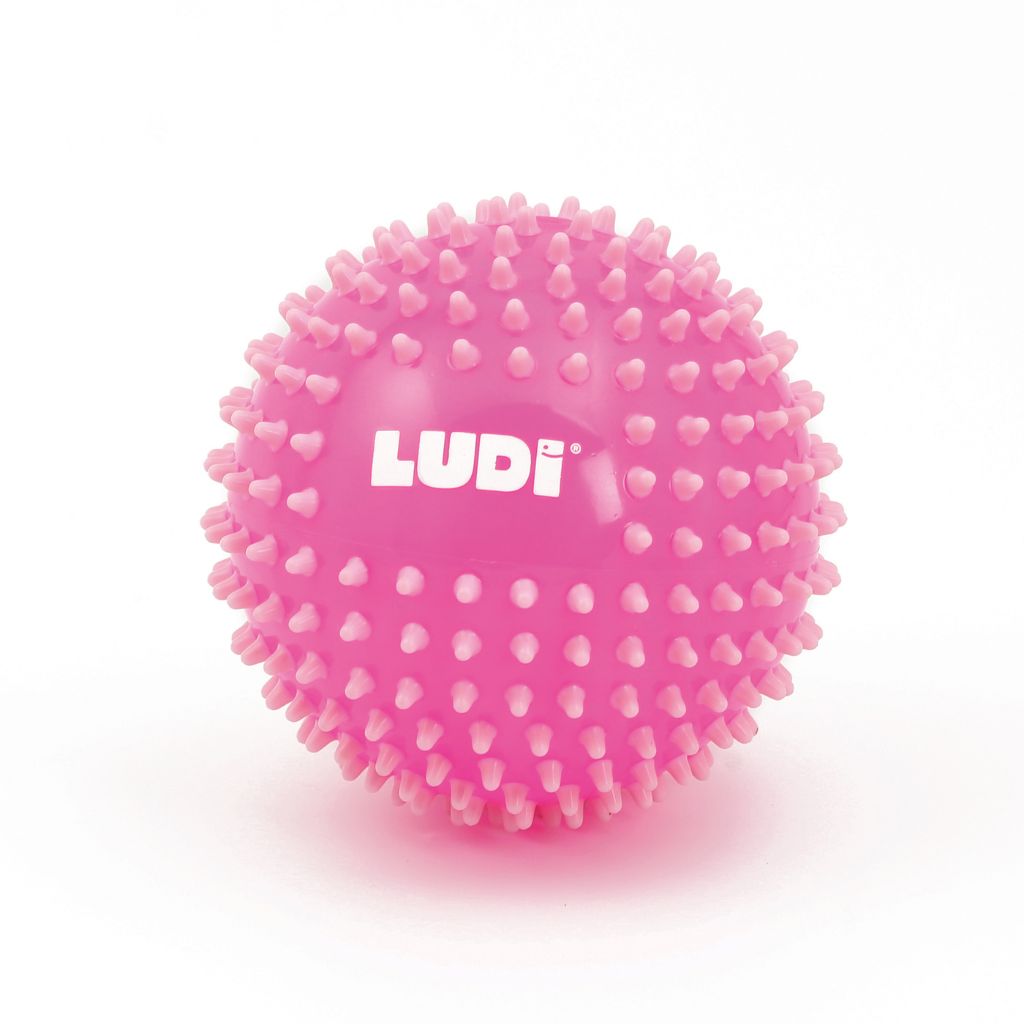 Ludi Gekleurde sensorische bal 15 cm