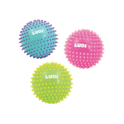 Ludi Gekleurde sensorische bal 15 cm