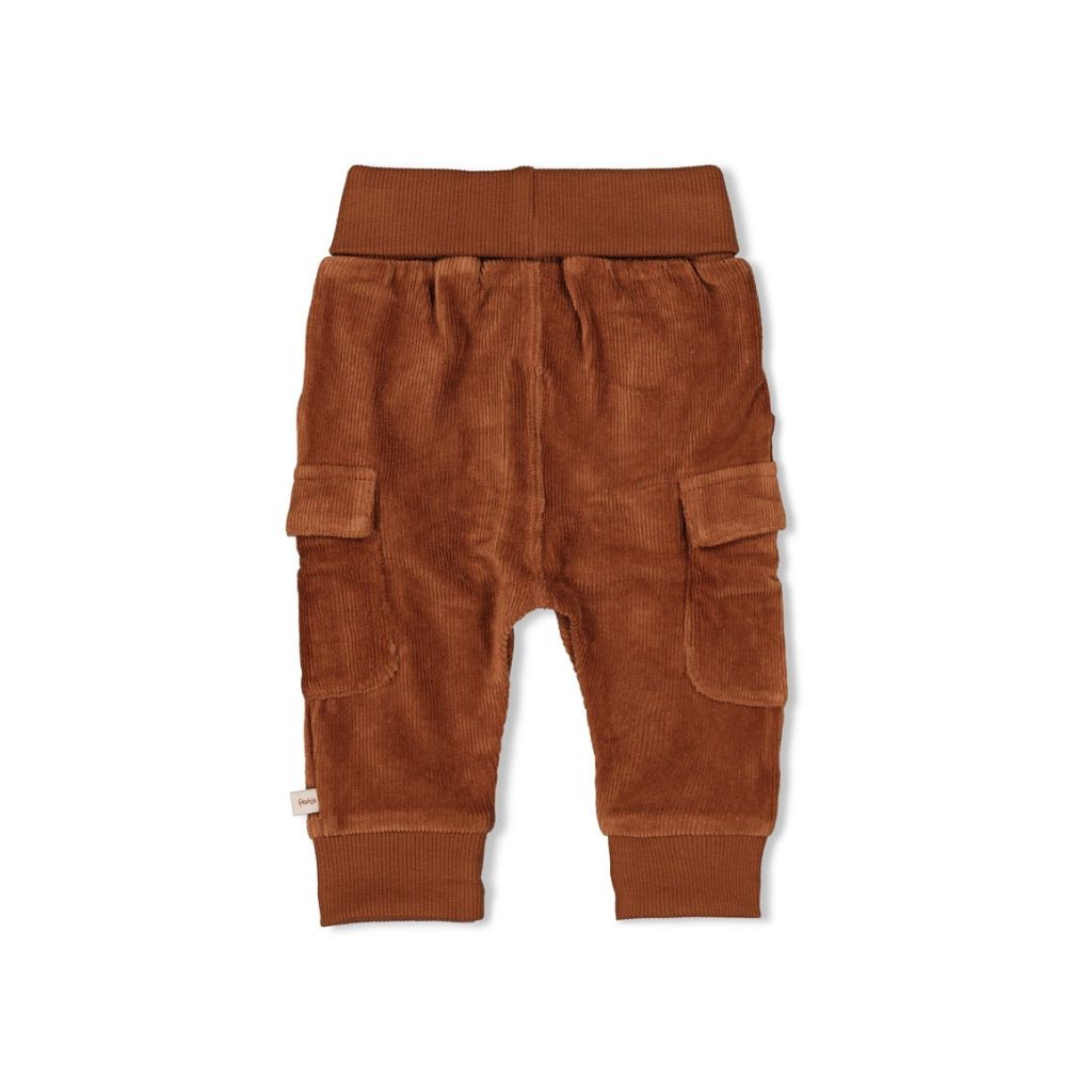 Feetje Broek velours rib - Wild World Brown Jongen