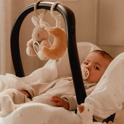 Little Dutch Activiteitenhangspeeltjes Newborn Naturals