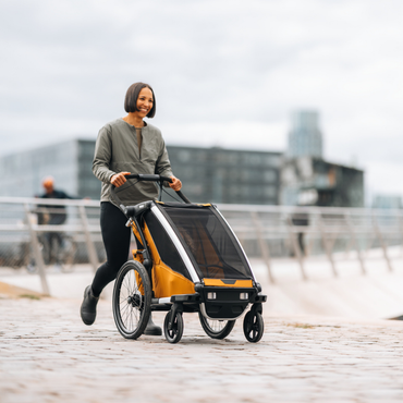 Thule Remorque de vélo Chariot Sport 1 Simple Natural Gold