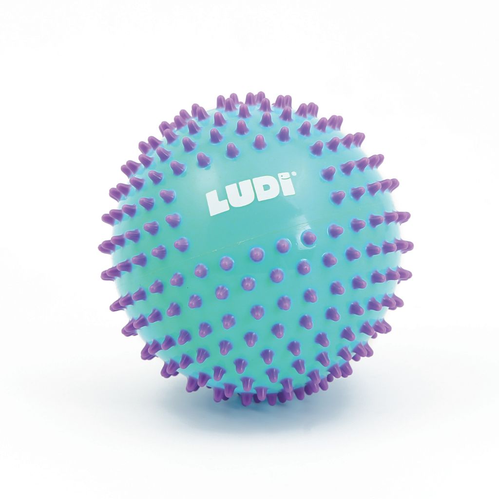 Ludi Gekleurde sensorische bal 15 cm
