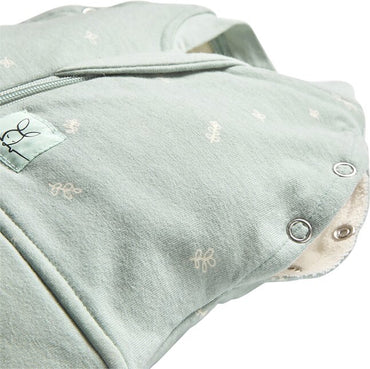 Ergopouch Sac d'emmaillotage/Sac de couchage Berries Sage 0-3 mois