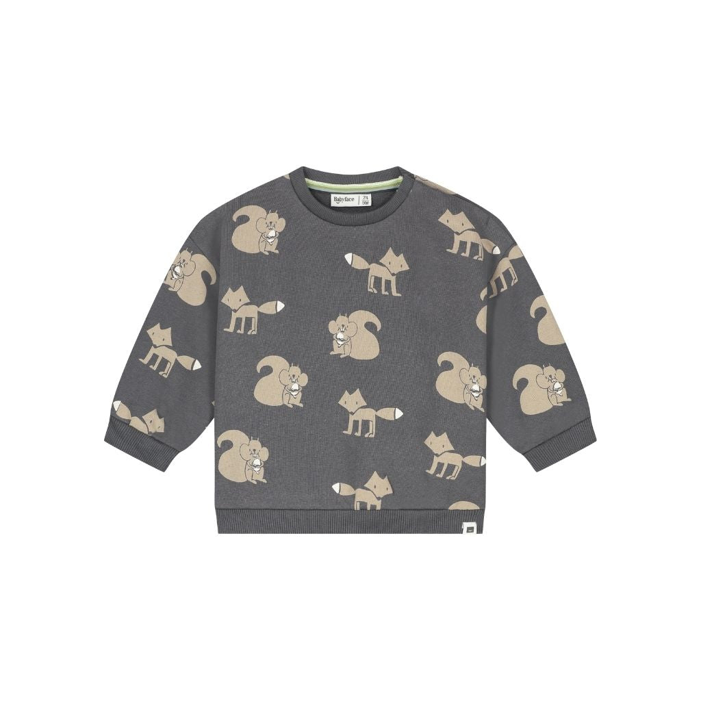 BabyFace Sweatshirt Jongens Antra